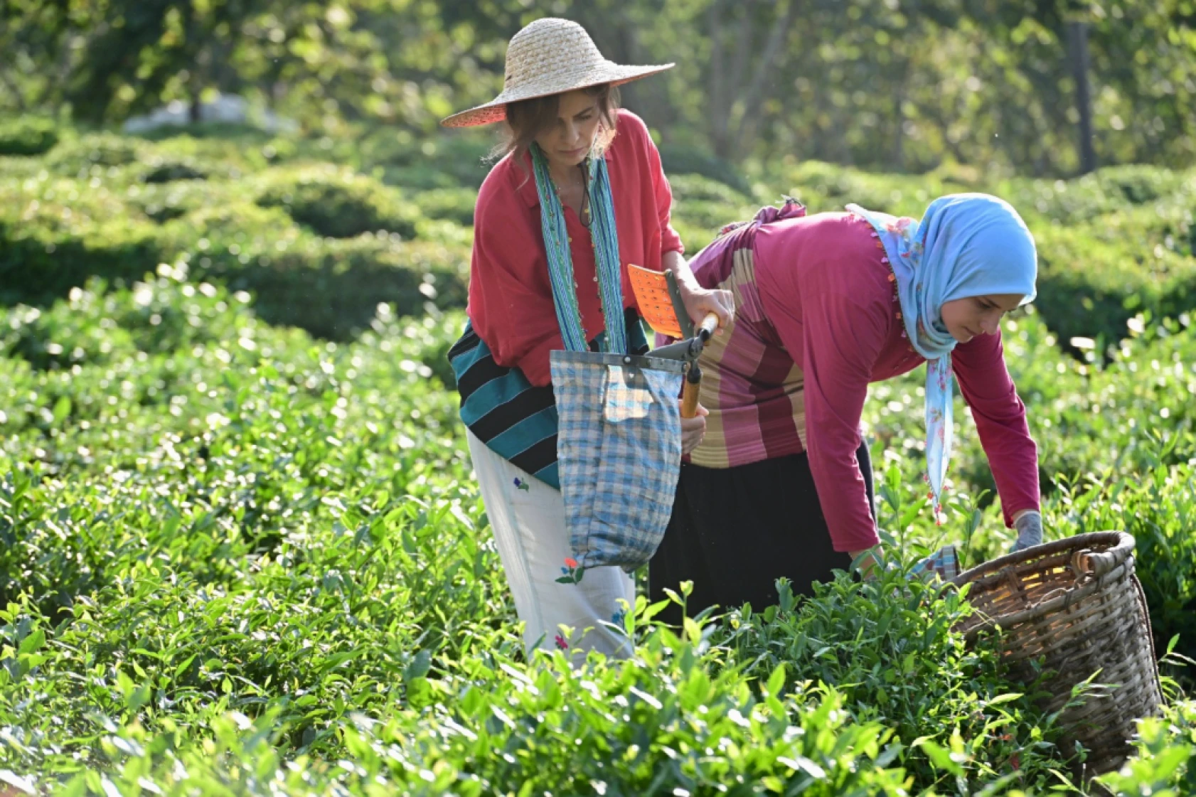 Ben Bu Cihana Sığmazam dizisinden ilk kareler yayınlandı