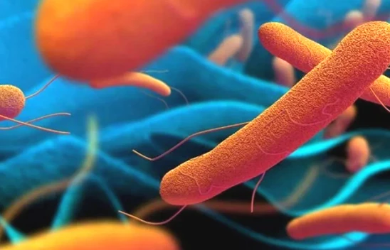 Bilim insanlarından yeni salgın uyarısı! Yılda 100 bin ölüme neden oluyor!