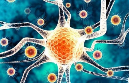 İşte Çin'de çına Langya virüsünün belirtileri...