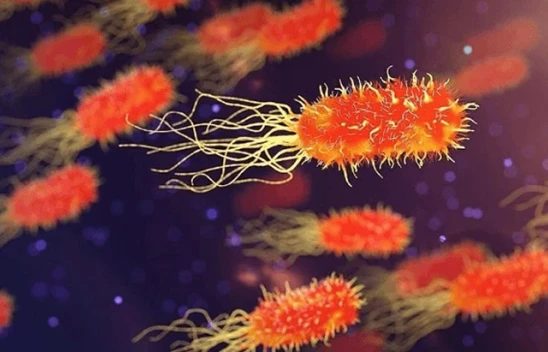 DSÖ'den korkutan uyarı! Kan zehirlenmesine yol açıyor!