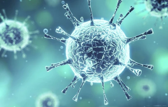 DSÖ resmen ilan etti! Gizemli virüsten ilk ölüm gerçekleşti!