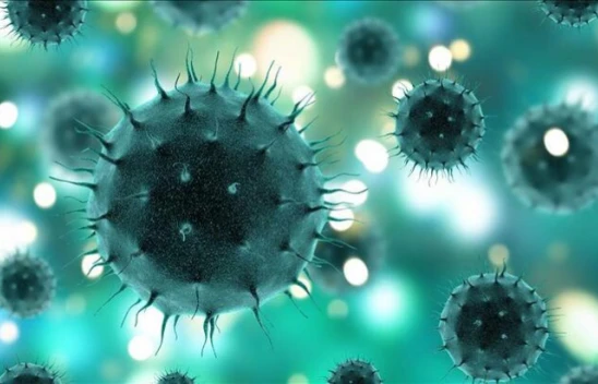 Dünya Sağlık Örgütü alarmda! Adı konulmayan hastalıktan onlarca kişi öldü!