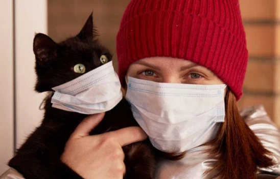 Uzmanlar yanıtladı! Korona virüsü hayvanlardan bulaşıyor mu?