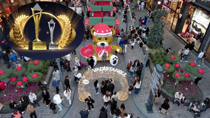 Vadistanbul Winter Wonder'a 'Stevie Awards'tan çifte zafer! Yılın En İyi Festivali Ödülü Vadistanbul'a…